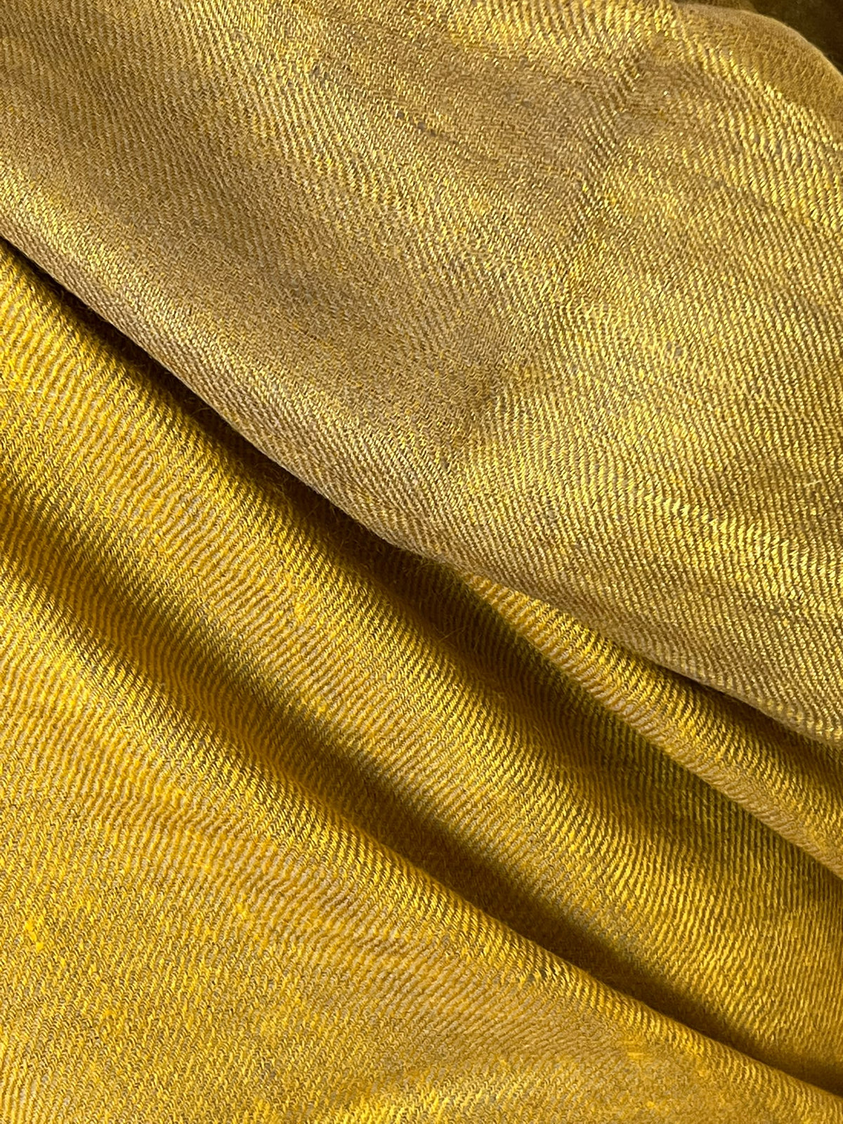 Gold - Zari Pure Pashmina Shawl
