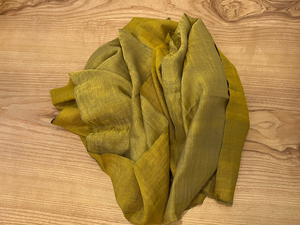Gold - Zari Pure Pashmina Shawl
